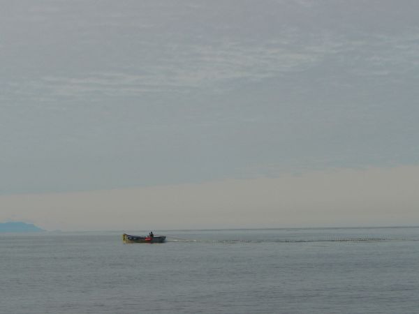 Lone Seiner